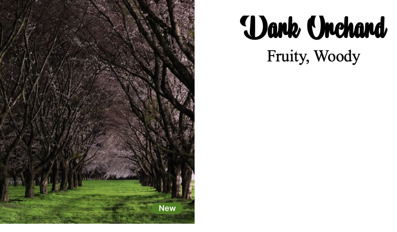 Dark Orchard Air Freshener