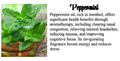 Peppermint Air Freshener