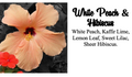 White Peach and Hibiscus Air Freshener