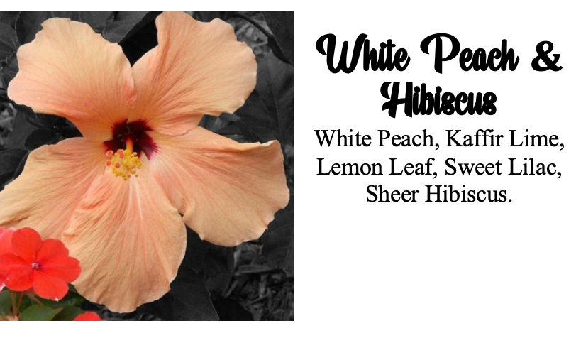 White Peach and Hibiscus Air Freshener